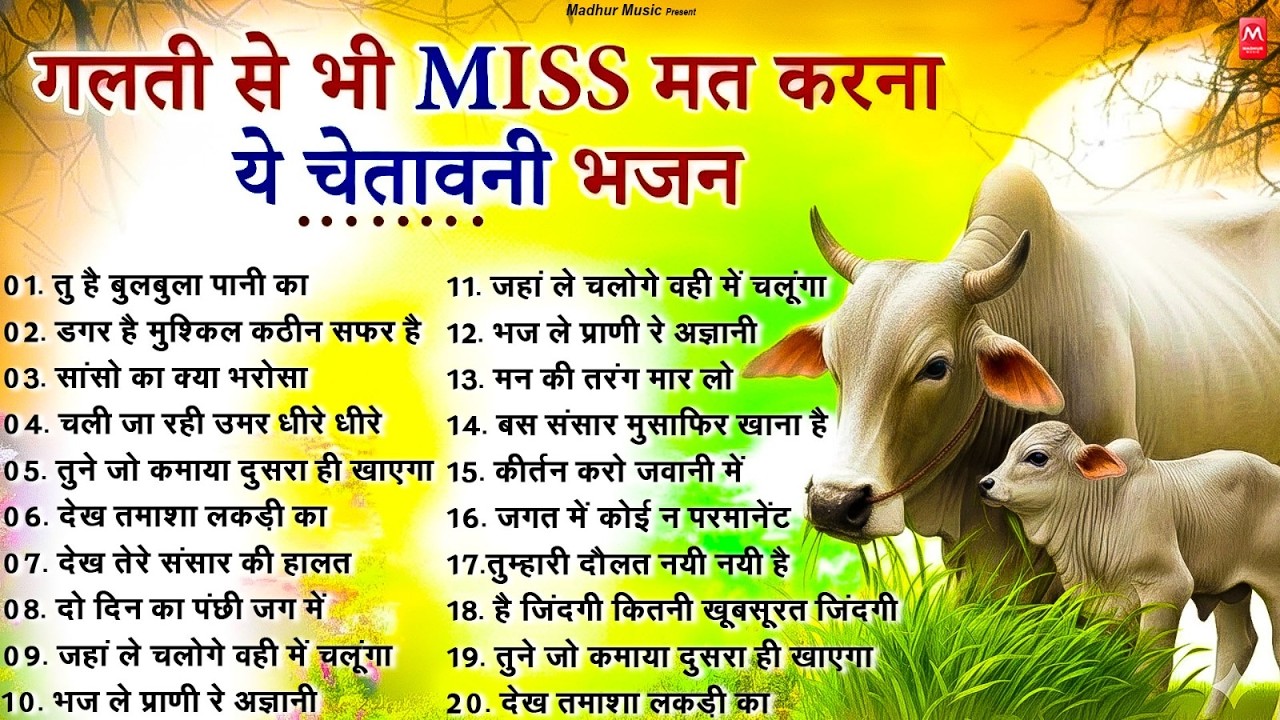 सबसे ज्यादा सुने जाने वाले निर्गुण भजन | Nonstop Nirgun Geet | Chetawani Bhajan 2026 | Nirgun Bhajan
