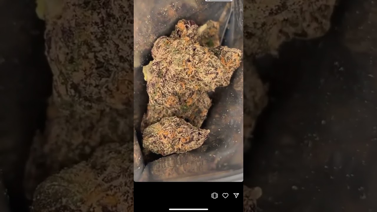 CARBON FIBER #topshelf #loudpack #cali #gas #packs #flower #smoke #weed #youtubeshorts #packs