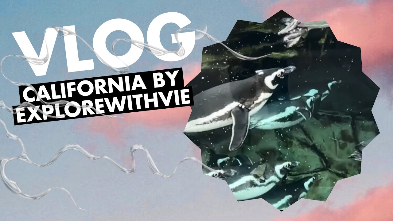 CALIFORNIA VLOGS PART 1( Aquarium, Redondo Beach, Long Beach)