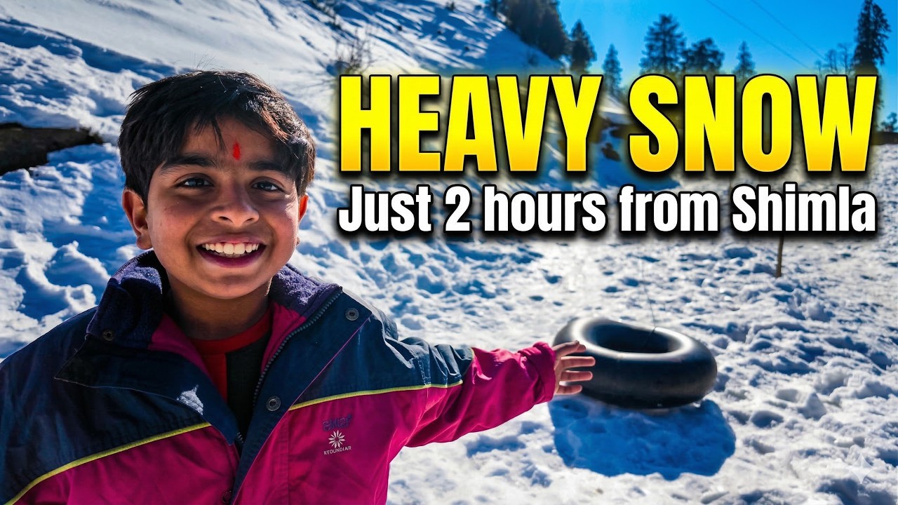 Hatu Peak, Narkanda | Massive Snow near Shimla
