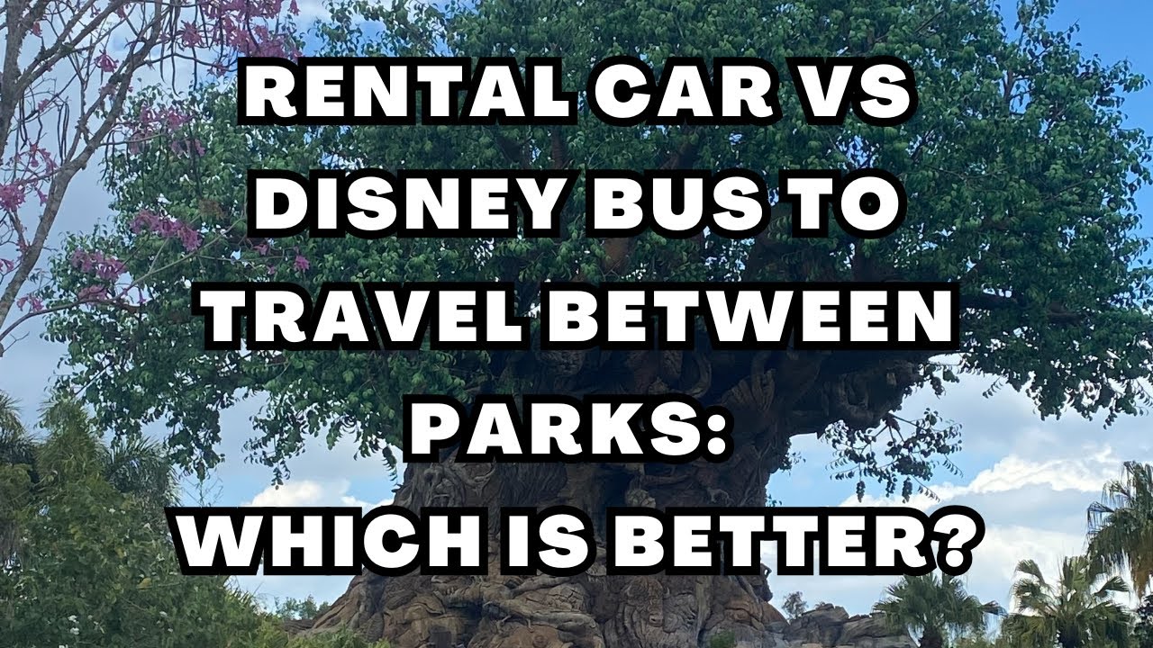 Rental Car vs Disney Bus To Travel Between Parks: Which is Better?