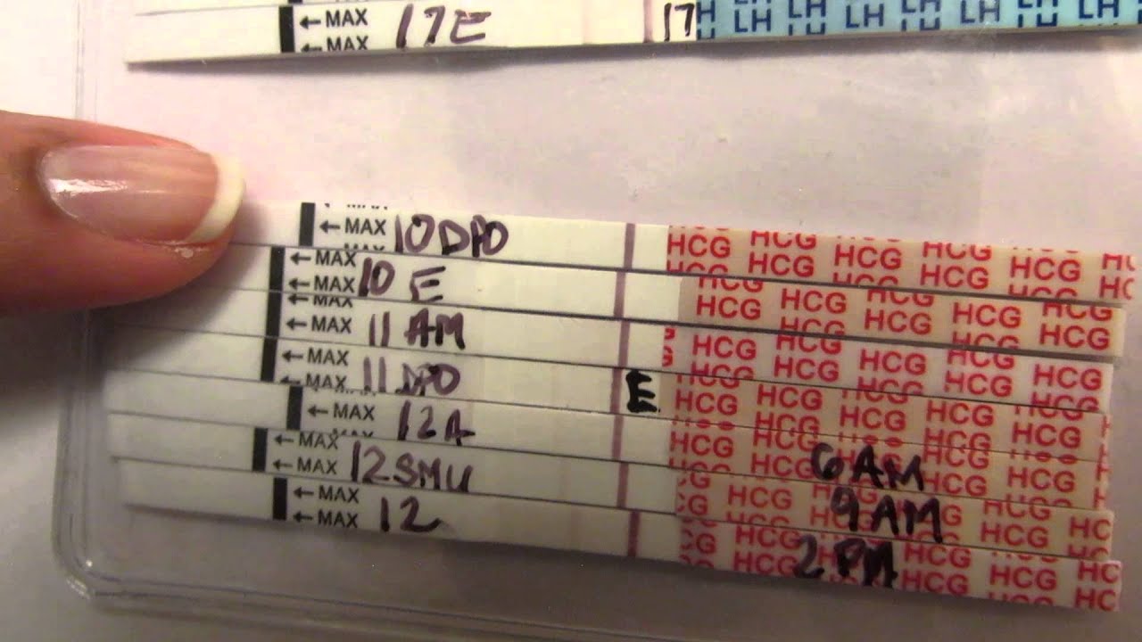 SMEP ttc test progression bfn & bfp- how we conceived