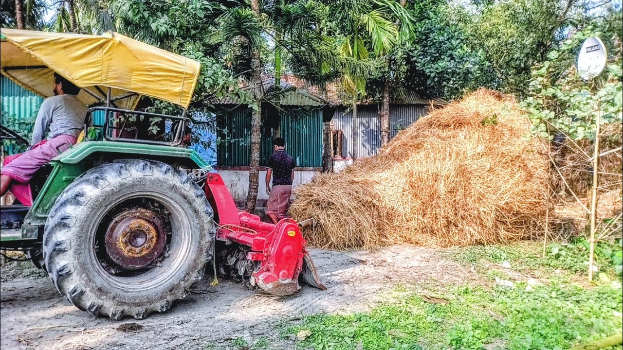 খড় নামাতে গিয়ে যা ঘটলো—কেউ ভাবেনি এমন হবে!