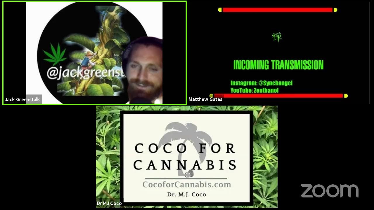 GWMFG: #141:Volatile Sulfuric compounds in cannabis, fungi, @chetterbob13 @gravykilos join the panel
