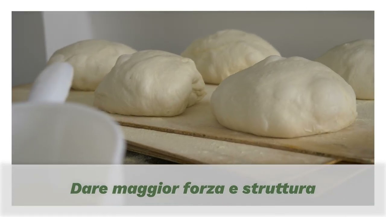 Lievitazione dell'Impasto: le fasi, consigli e spunti professionali - Molino Rachello