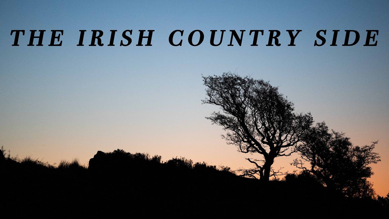 18 Minutes of Relaxing Bird Song | Irish Wildlife