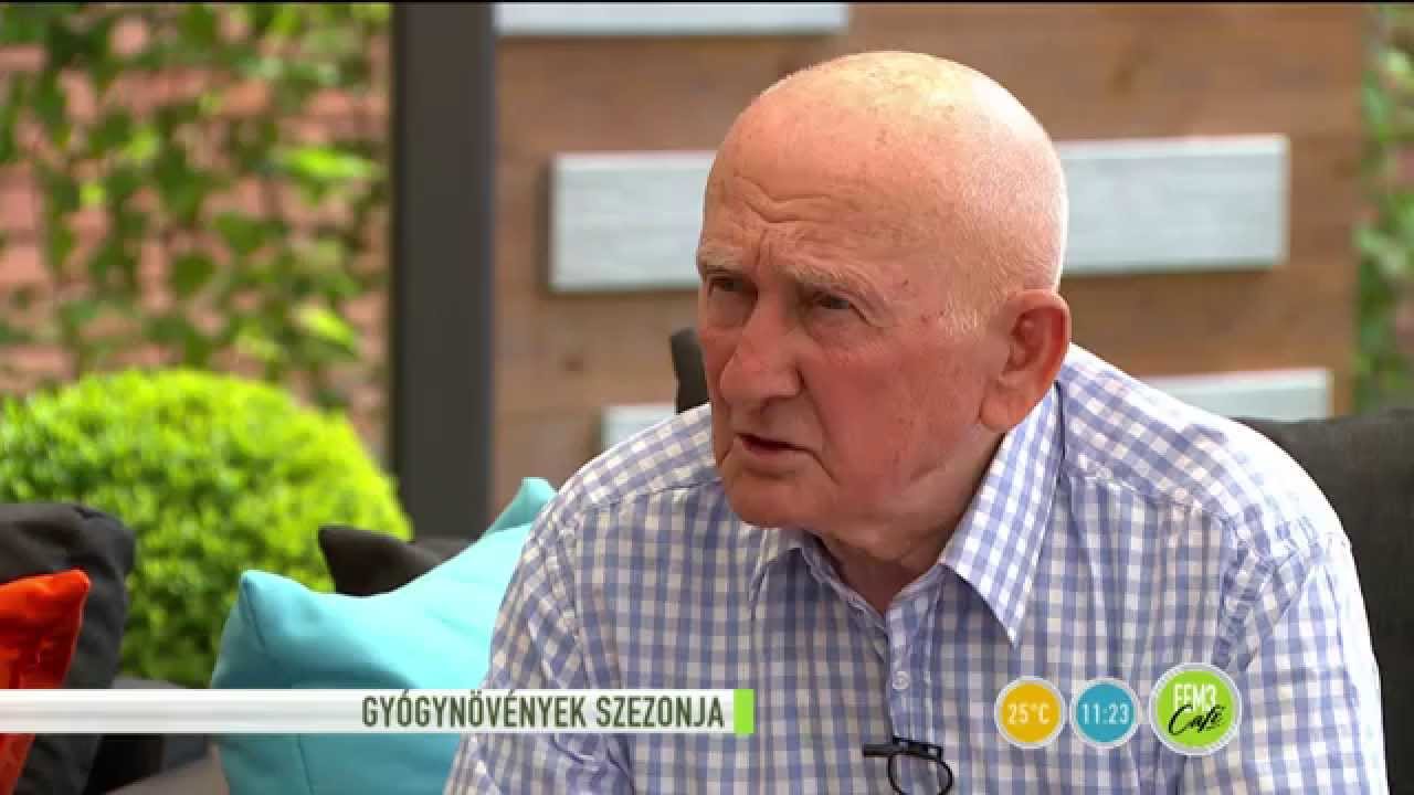 Gyógynövény gyorstalpaló nem csak kezdőknek! - 2015.06.11. - tv2.hu/fem3cafe