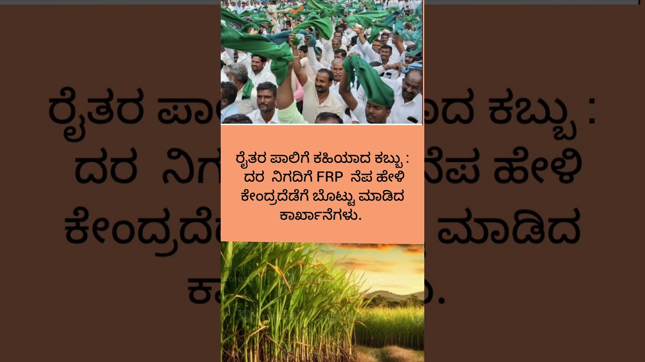 #shortsviral #shortsfeed #shortvideos #shorts #shortvideo #short #farmer #protest #sugarcane #news