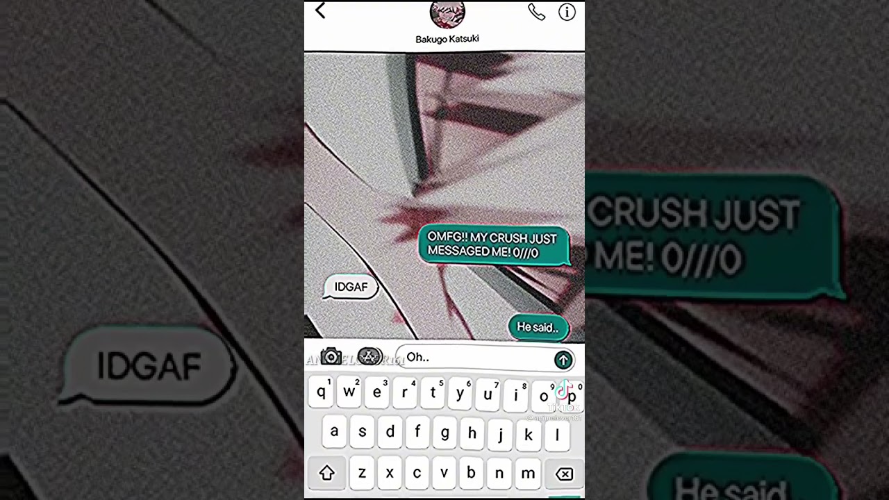Bakugou x y/n || Pt.1 || Tiktok texting story ||