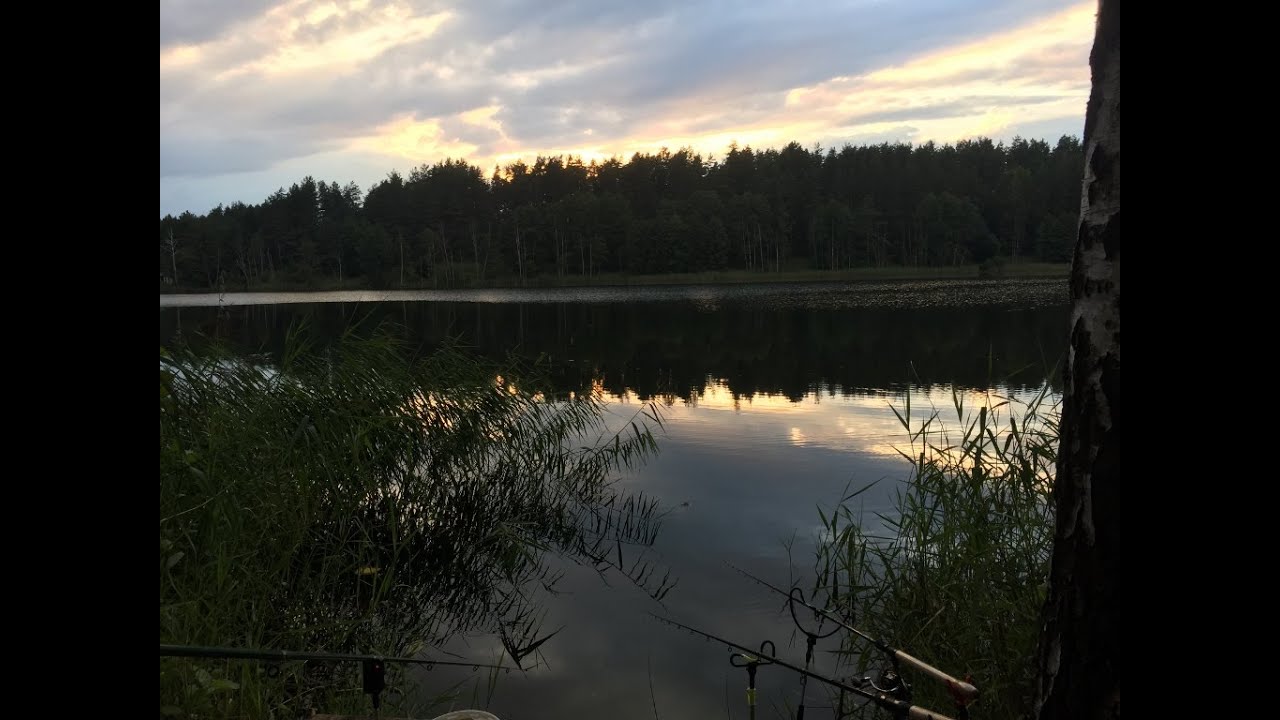 Wyjazd na Mazury, Lekki Feeder na Jeziorze | Fishing Show