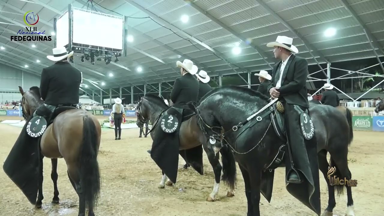 TANGO DE LA POSADA, GRAN CAMPEÓN TROCHA Y GALOPE 42 EXPOSICIÓN NACIONAL EQUINA BUCARAMANGA 2026