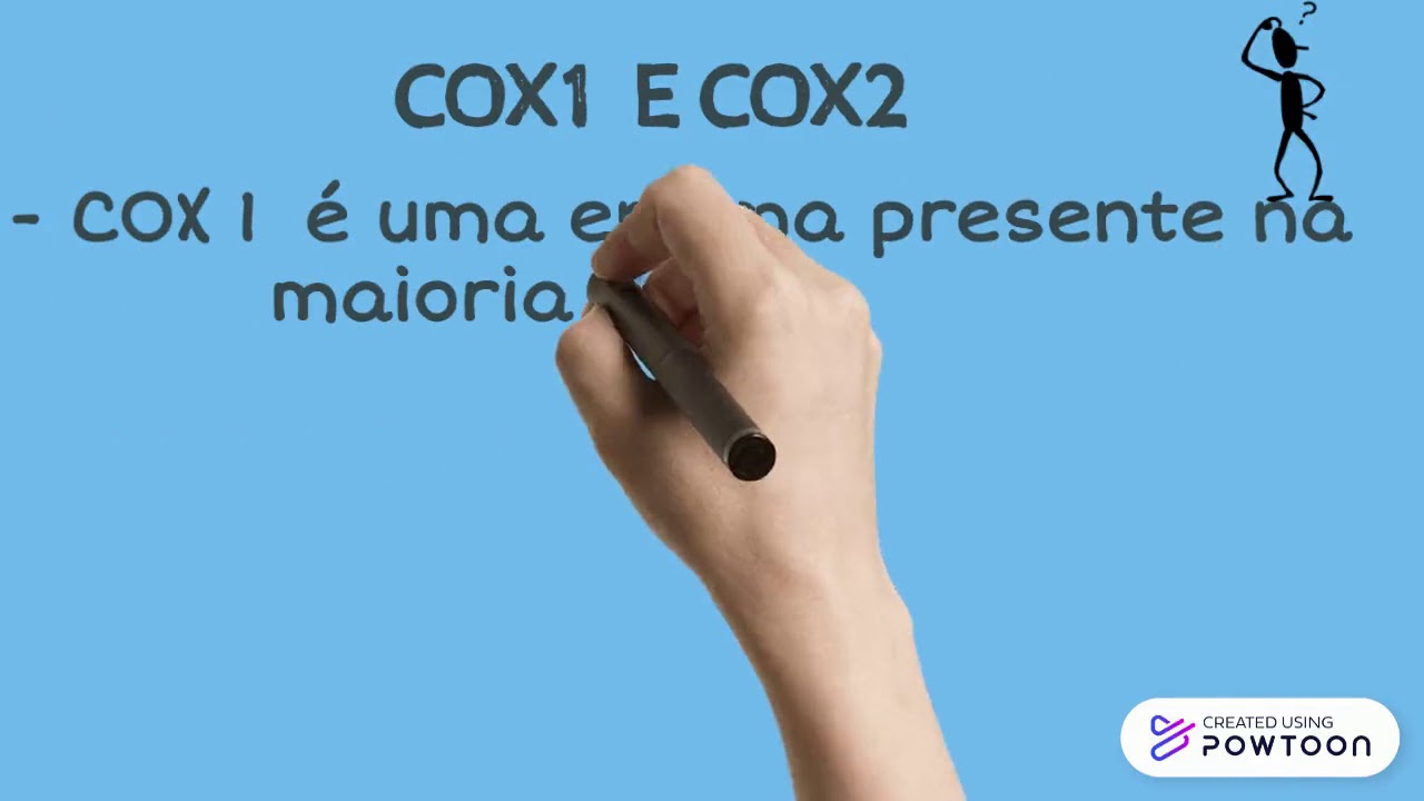 COX 1 E COX 2