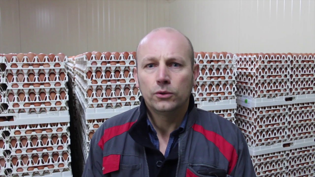 Grivillers : la détresse d'un éleveur de poules pondeuses après l'annonce de la fermeture de Matines