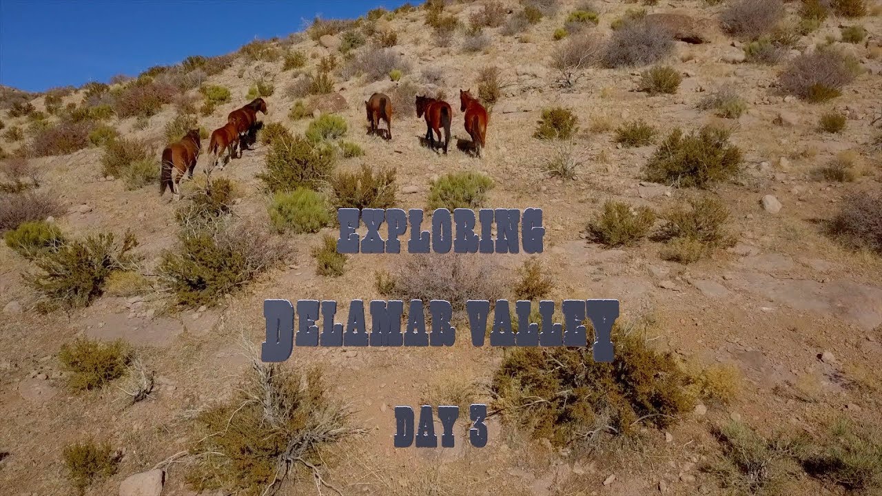 Exploring Delamar Valley & Wild Horses - Day 3