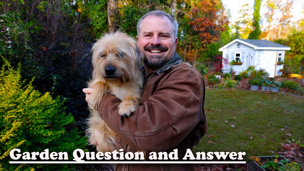 Garden Question and Answer - Great Questions