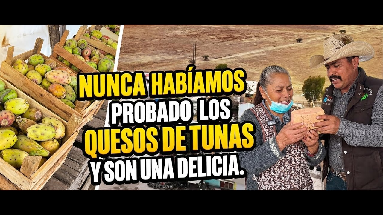 NUNCA AVIAMOS PROBADO LOS QUESOS DE TUNAS Y SON UNA DELICIA