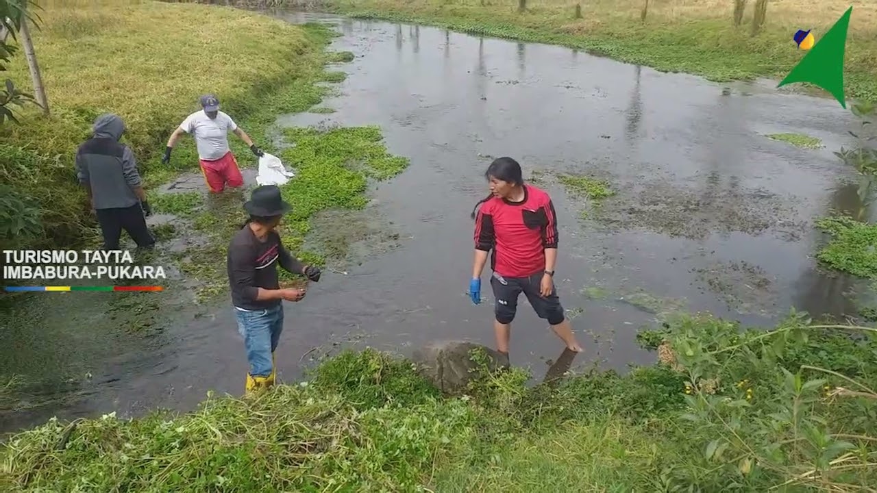 LIMPIEZA DEL LAGO SAN PABLO EN OTAVALO | TURISMO TAYTA IMBABURA - PUKARA LODGE