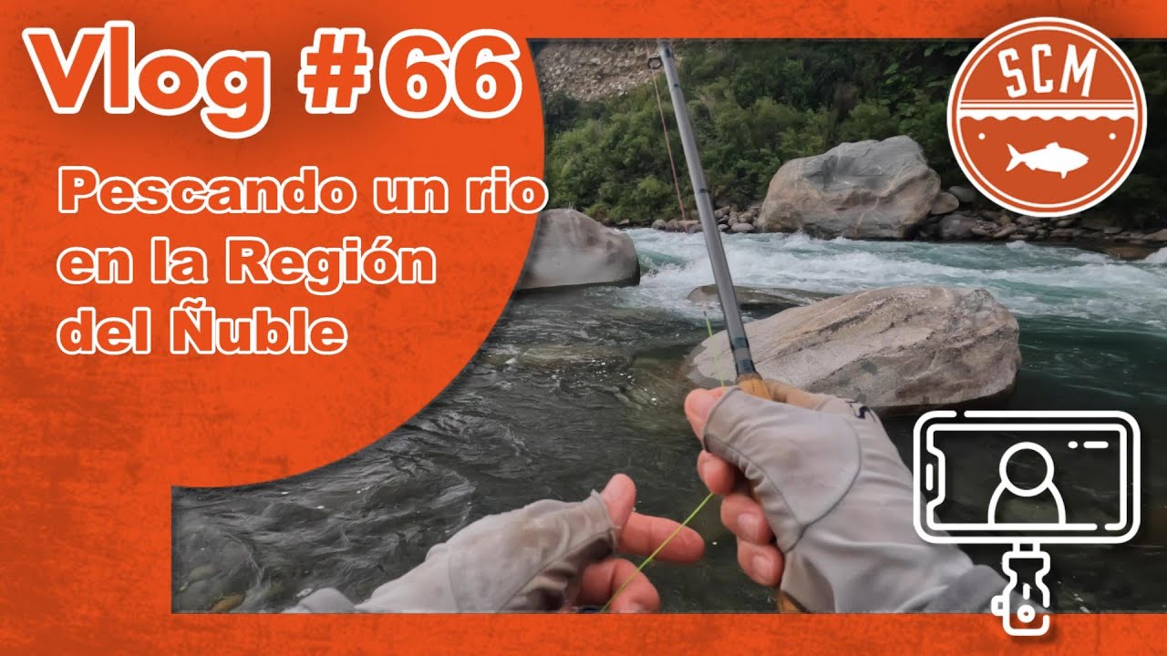 Pescando un rio en la Región del Ñuble: Vlog #66