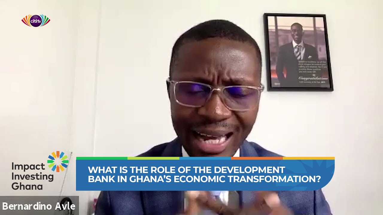 What is the role of the Development Bank in Ghana's economic transformation? | Citi Newsroom