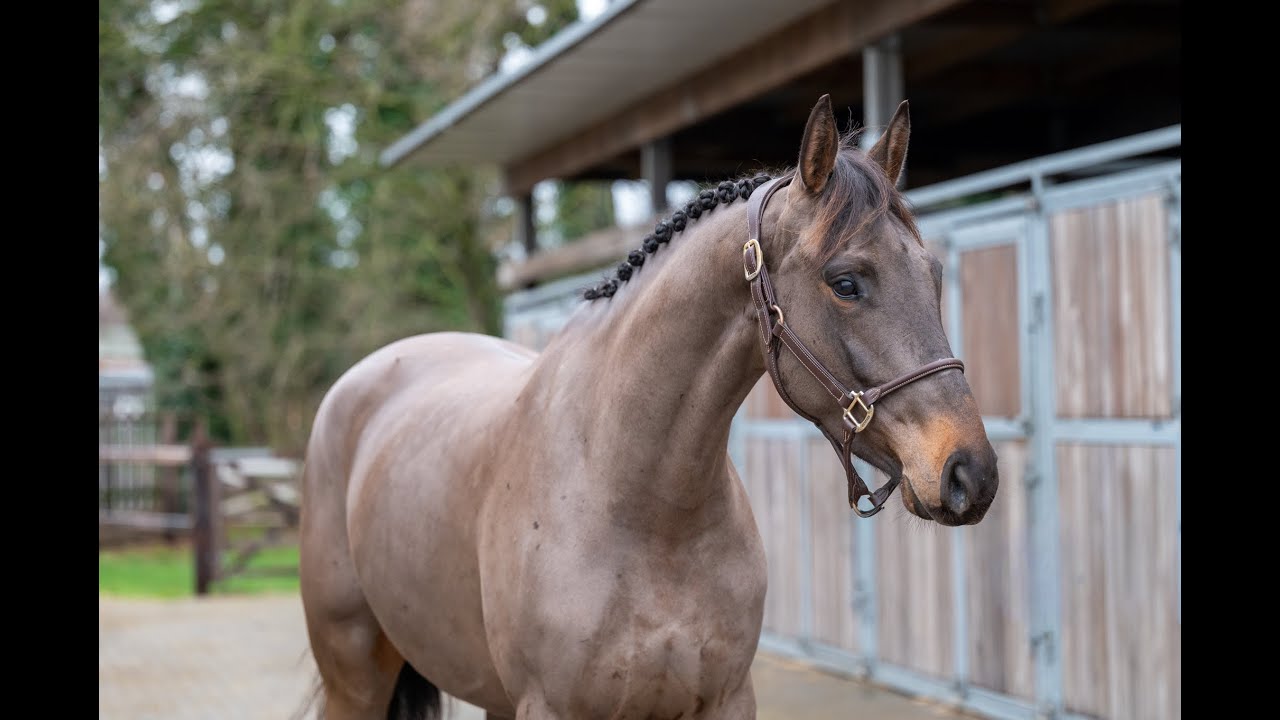 I’m Barbie Z: Imagination van ‘t Winkenshof x Niveau - Mare 2021
