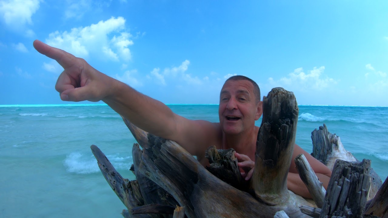 Maldives Maafushi Trip to Shark Point Nurs Sharks Stingrays Quranxes 4K