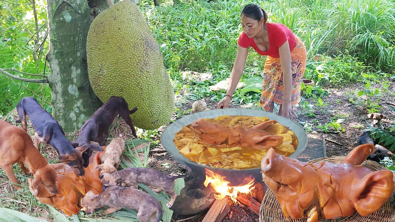 Survival cooking in forest: Pork head braised spicy delicious with jackfruit Eating with dog