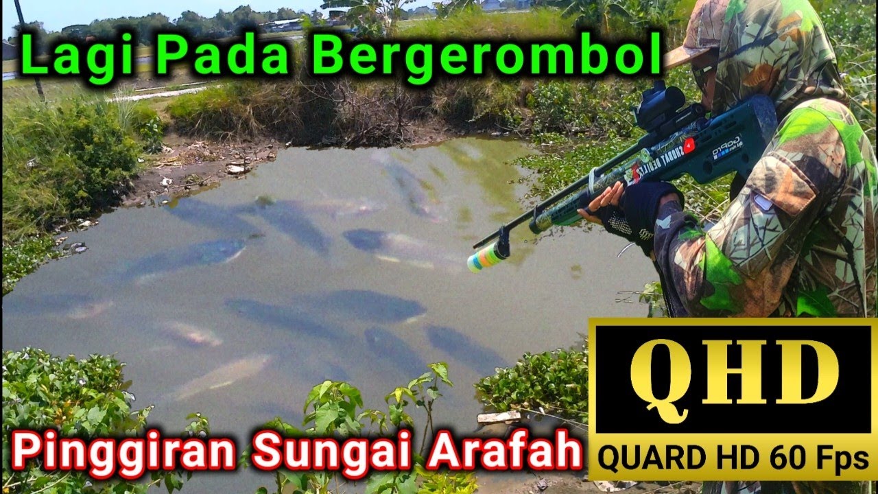 Melipir sungai arafah. Menembak ikan yang sedang bergerombol