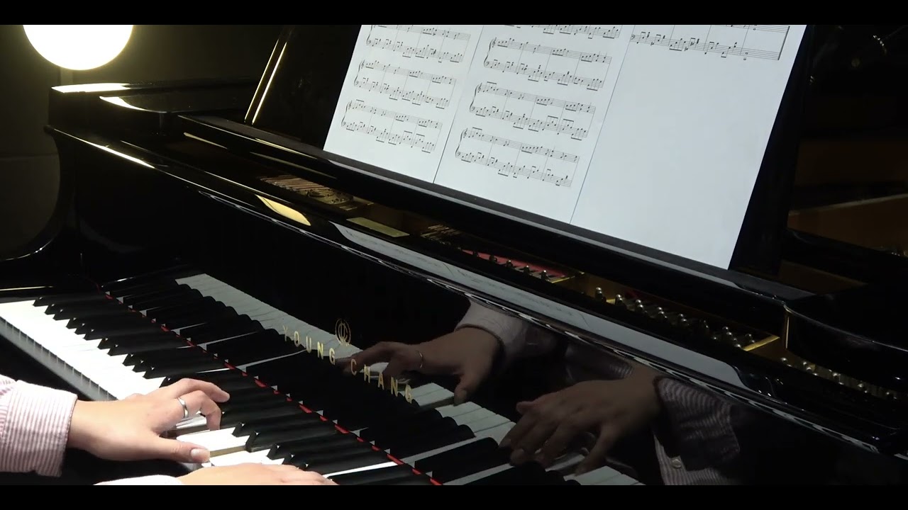 L'a mour reve (사랑의 품안에서) - Andre Gagnon(앙드레 가뇽)(25. 6월경..)
