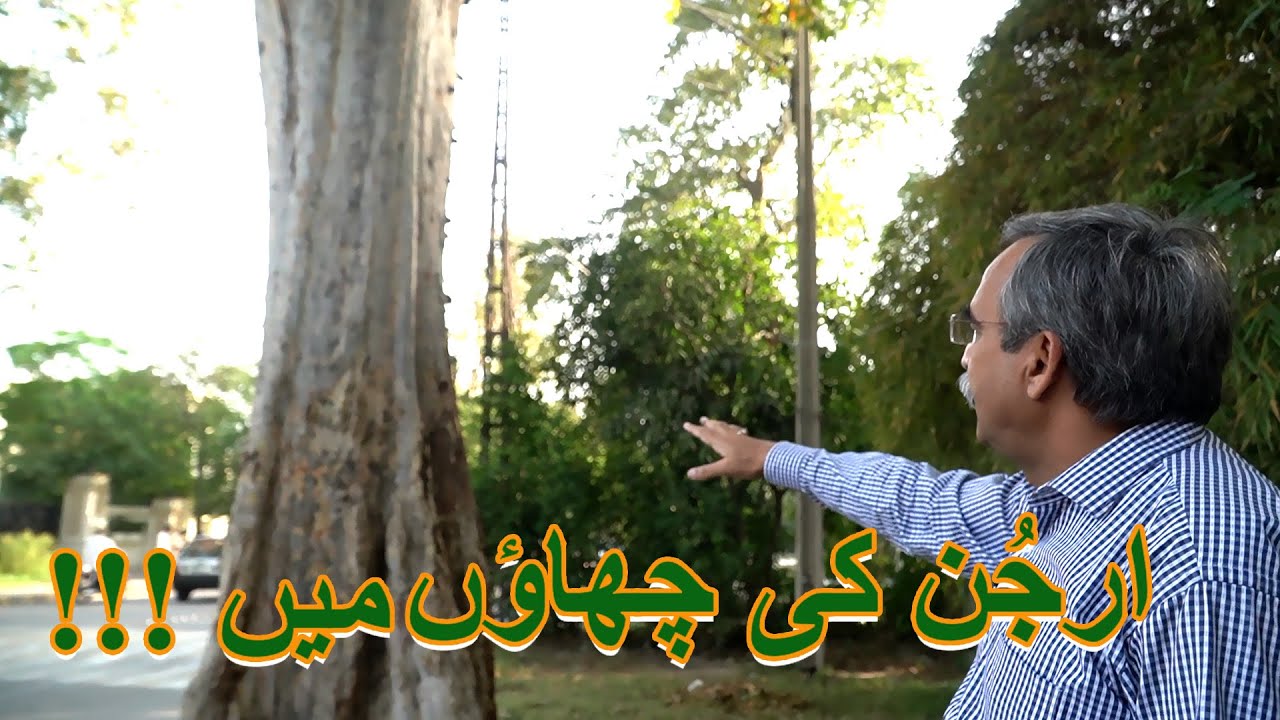 Arjun Kaun Hai ? | Native Pedon Ki Chhaon Mein | Ep 4| Qamar Mehdi