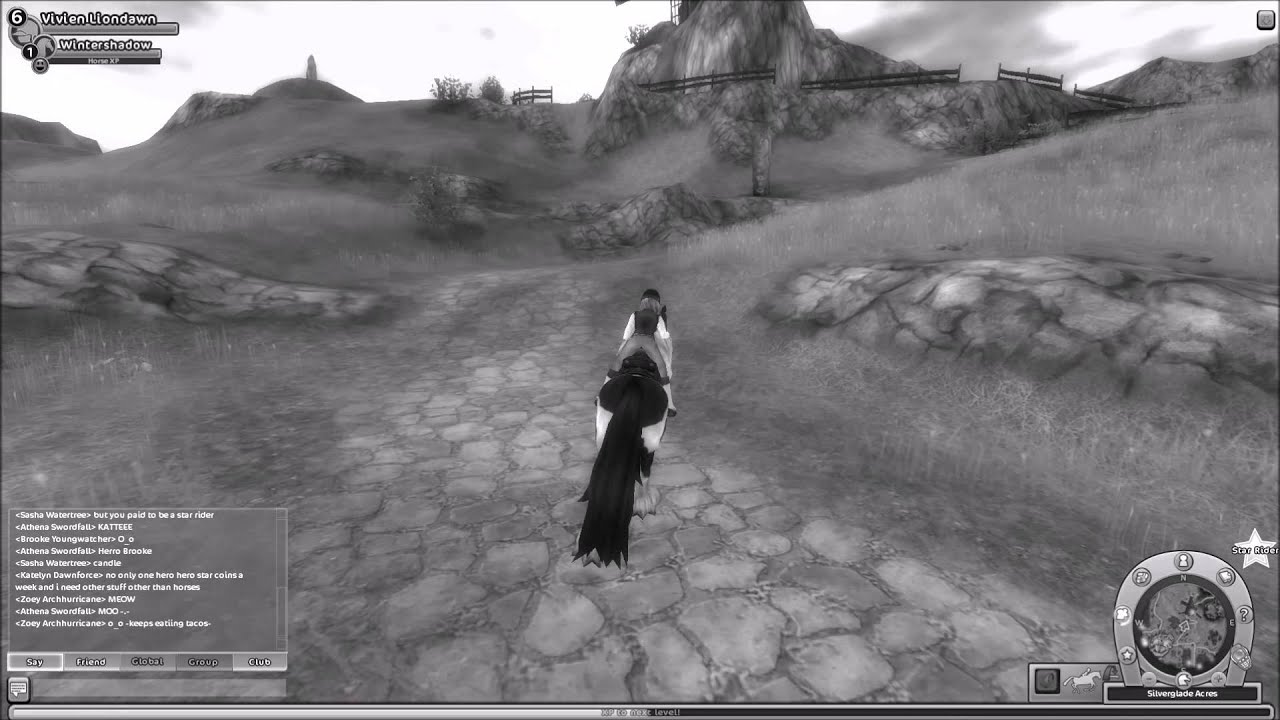 New SSO Tinker Horses