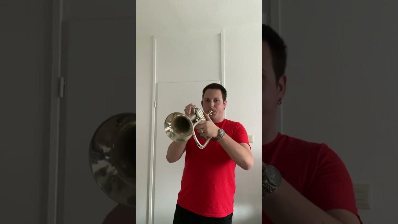 SOLD: Besson New Standard Bb Flugelhorn 1