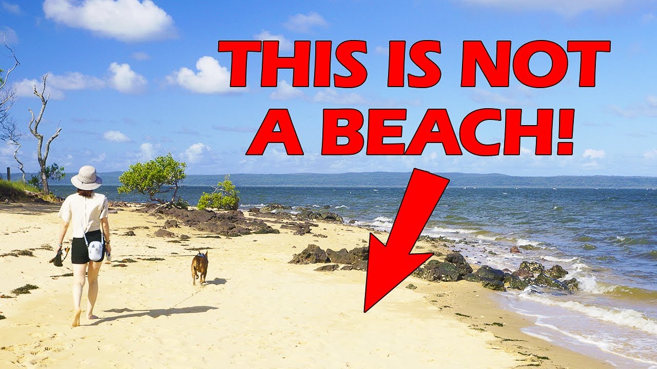 Does Brisbane even have beaches? Mythbusting (Twisted Visions Summer Challenge '24).