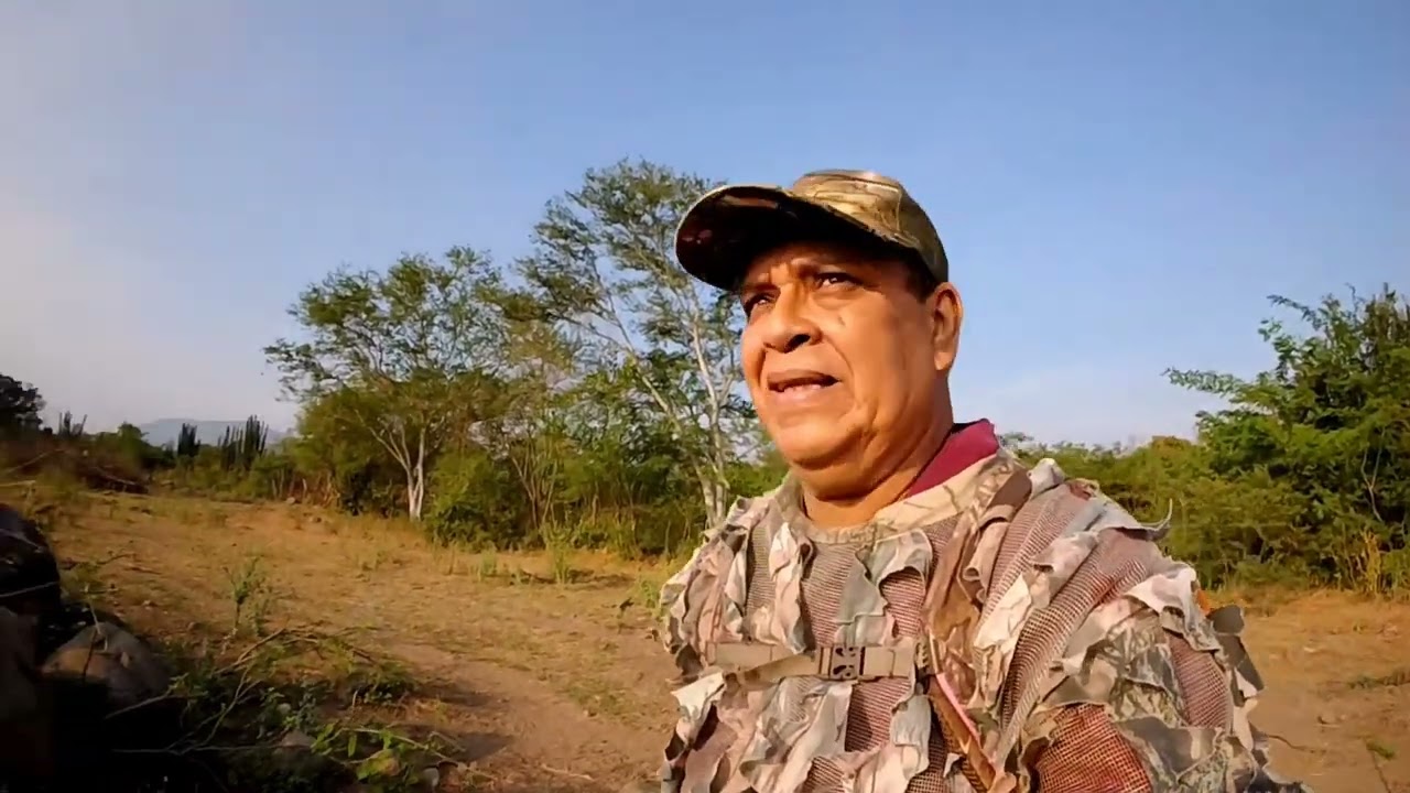 PODEROSO RIFLE PCP UMAREX GAUNTLET CAL . 25 ES UNA MARAVILLA EN LA CACERIA DE PALOMAS.