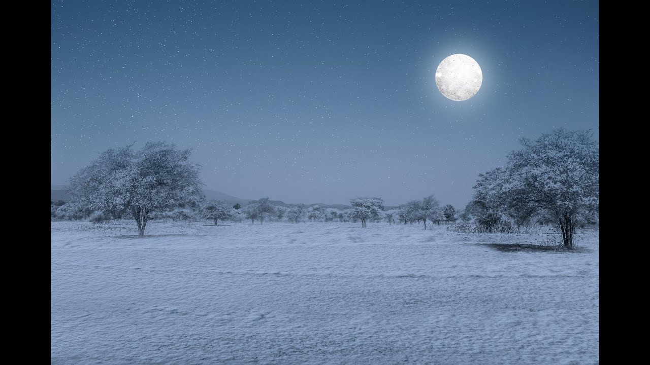 Relaxing Snowfall: Beautiful Falling Snow - The Best Relax Music