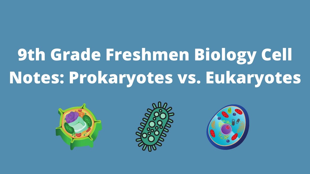 9th Grade Freshmen Biology Cell Notes : Prokaryotes vs Eukaryotes