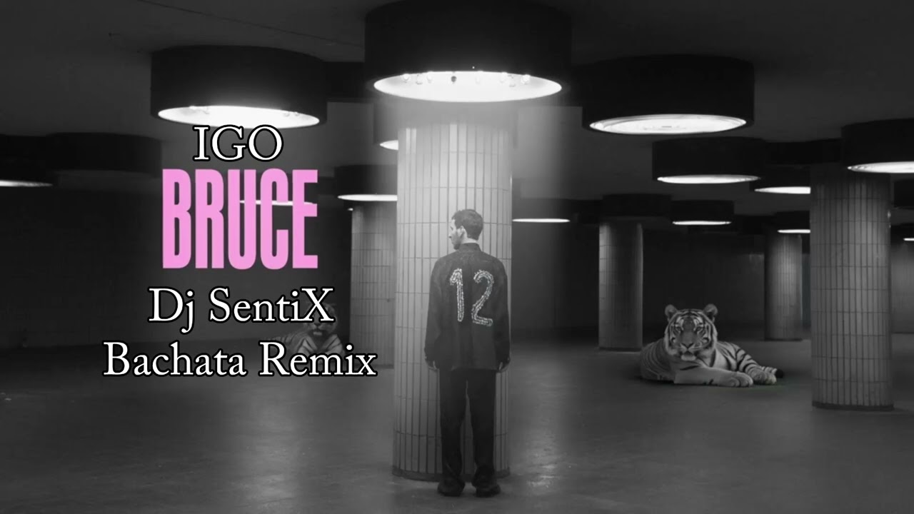 IGO - Bruce (Dj SentiX Bachata Remix)
