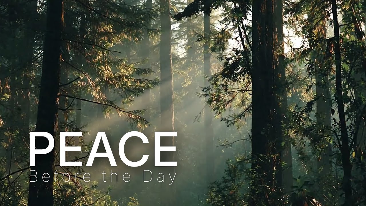 Morning Reflection — Calm Ambient Nature for Peaceful Stillness