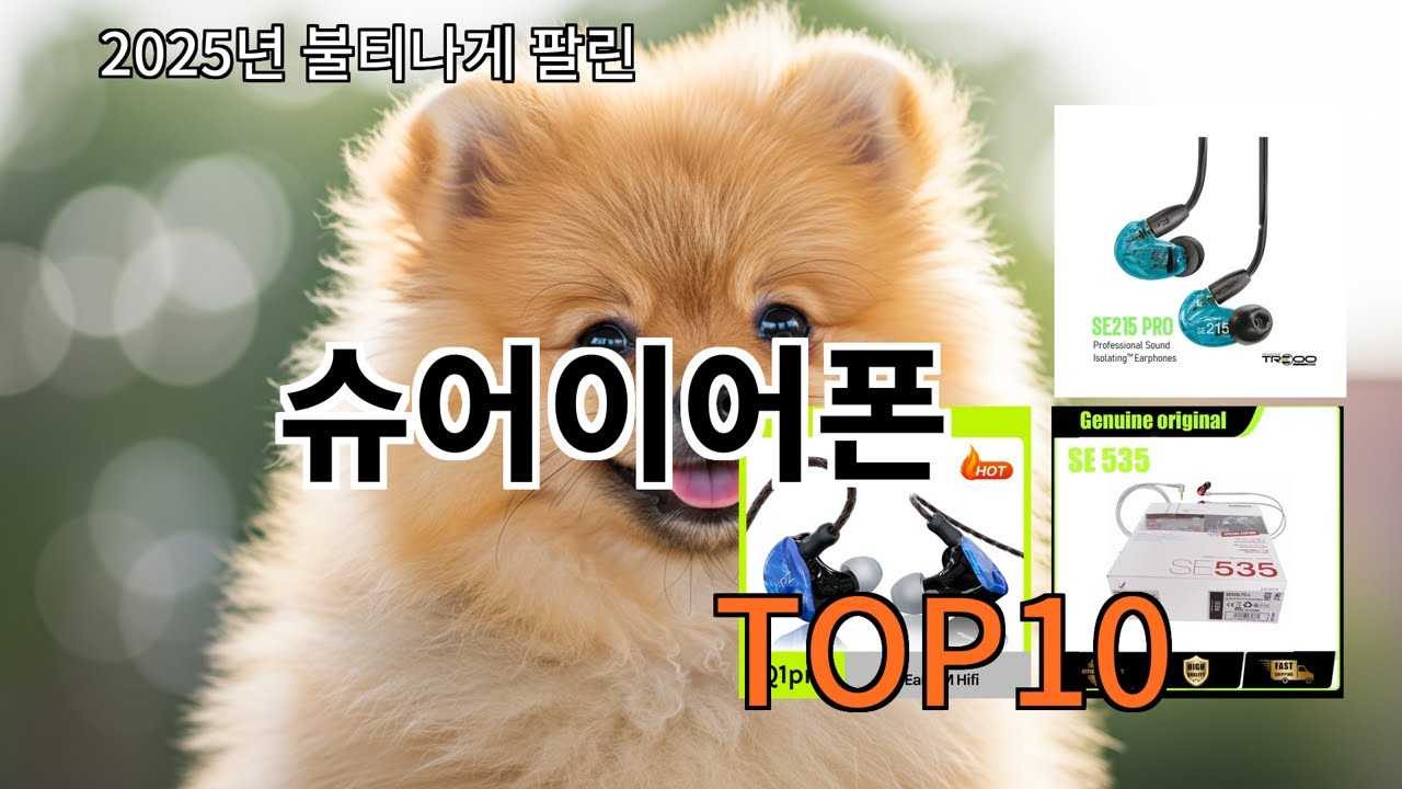 알리 슈어이어폰 실사용 기준 추천 무난