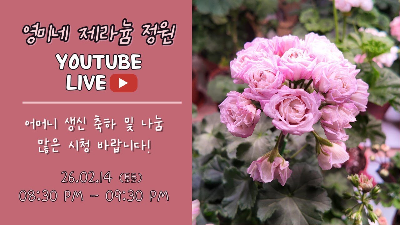 26.02.14(토) 영미네 제라늄 정원 라이브