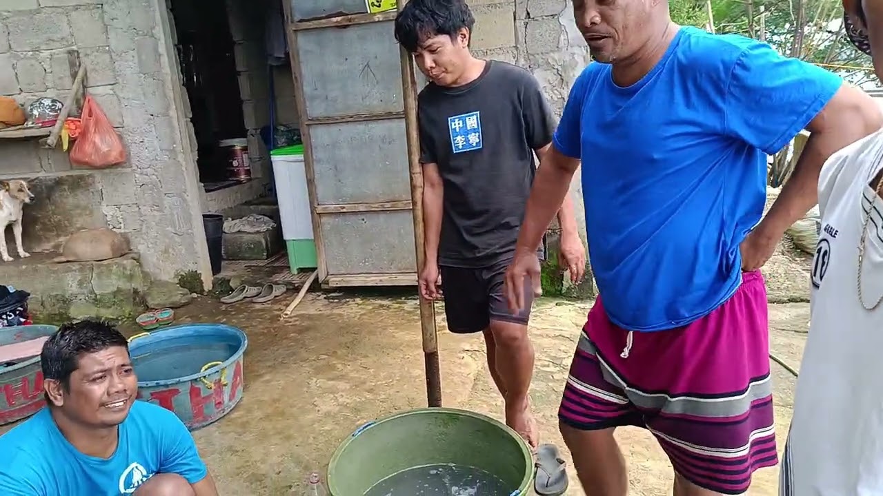 Kulambutan nasa pa itlogan na