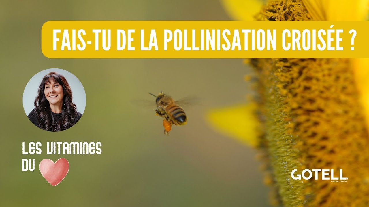 Fais-tu de la pollinisation crois&eacute;e ?