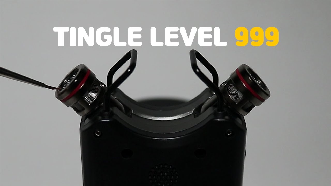 ASMR ⚠️자극주의⚠️고인물 전용 팅글참기 레벨 999