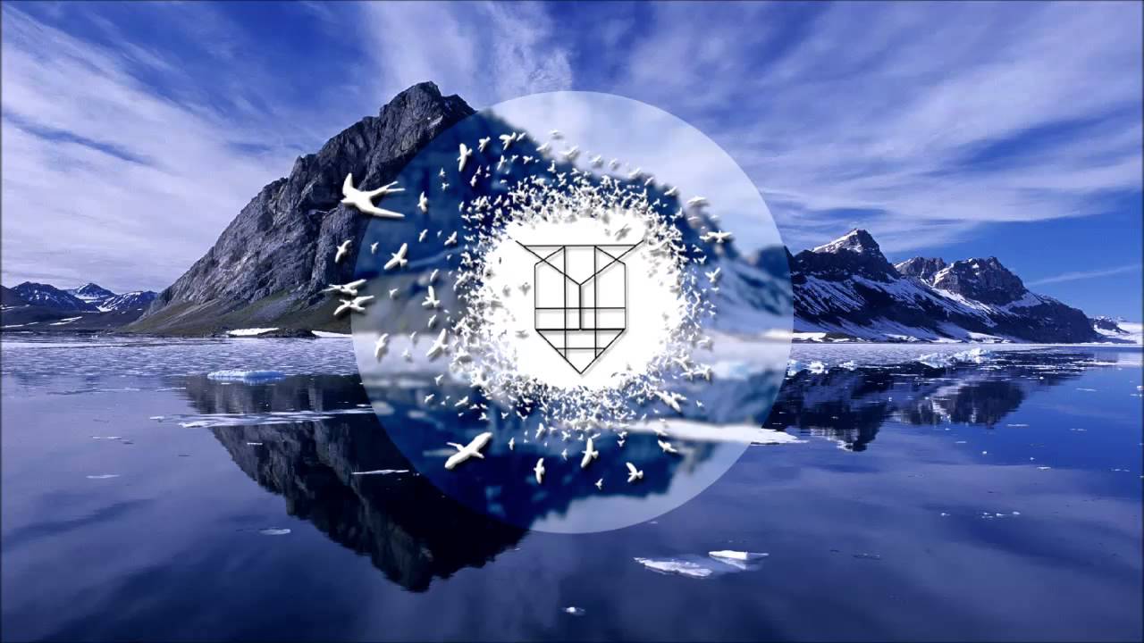 Thomas Newson - Pallaroid
