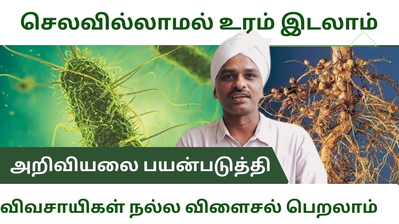 யூரியா, DAP, பொட்டாஷ் உரமிடுவதன் அறிவியல் #organicfarming #naturalfarming #soil_fertility