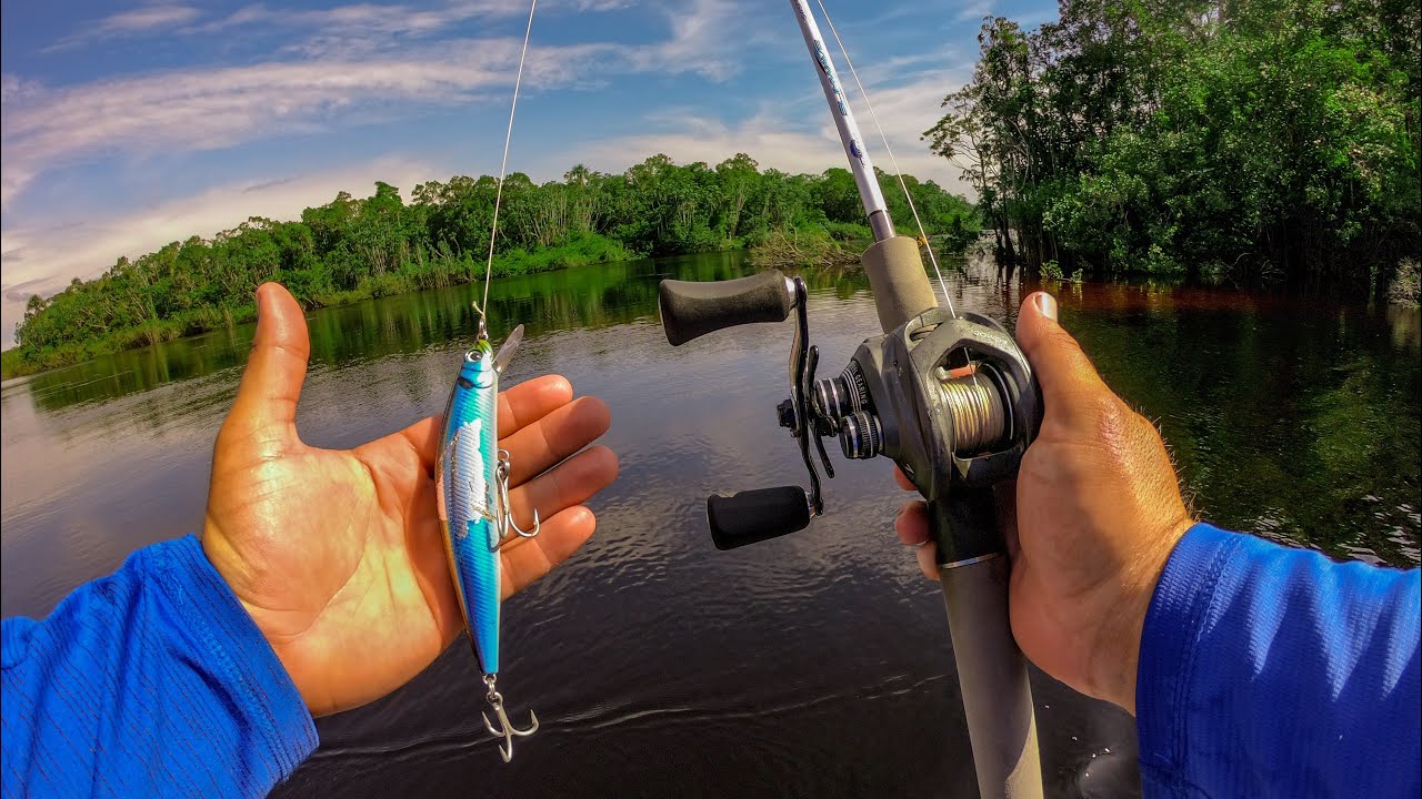 Huge Amazon Jungle Fish Destroys This Bait!