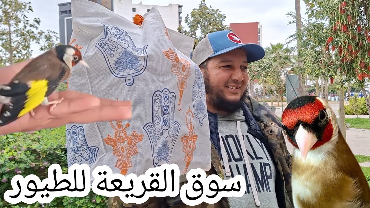 سوق القريعة للطيور يوم السبت 28/02/2026 توليعة في طيور الحسون تحياتي للجميع فرجة ممتعة 