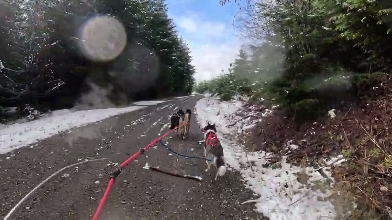 Mason Lake Bikejor- Squirrel!!