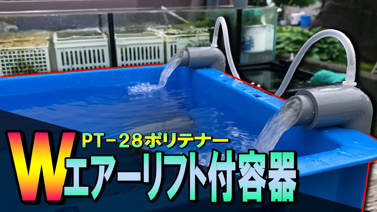 【DIY】濾過力アップ！Wエアーリフトろ過機能付容器