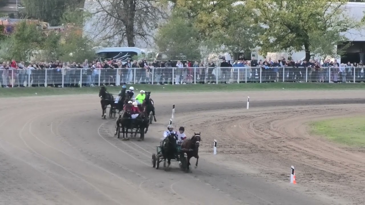 Subotica 13.10.2024, Cardinale Laksmy-Velvet Dancer & M. Tasić-P. Petković