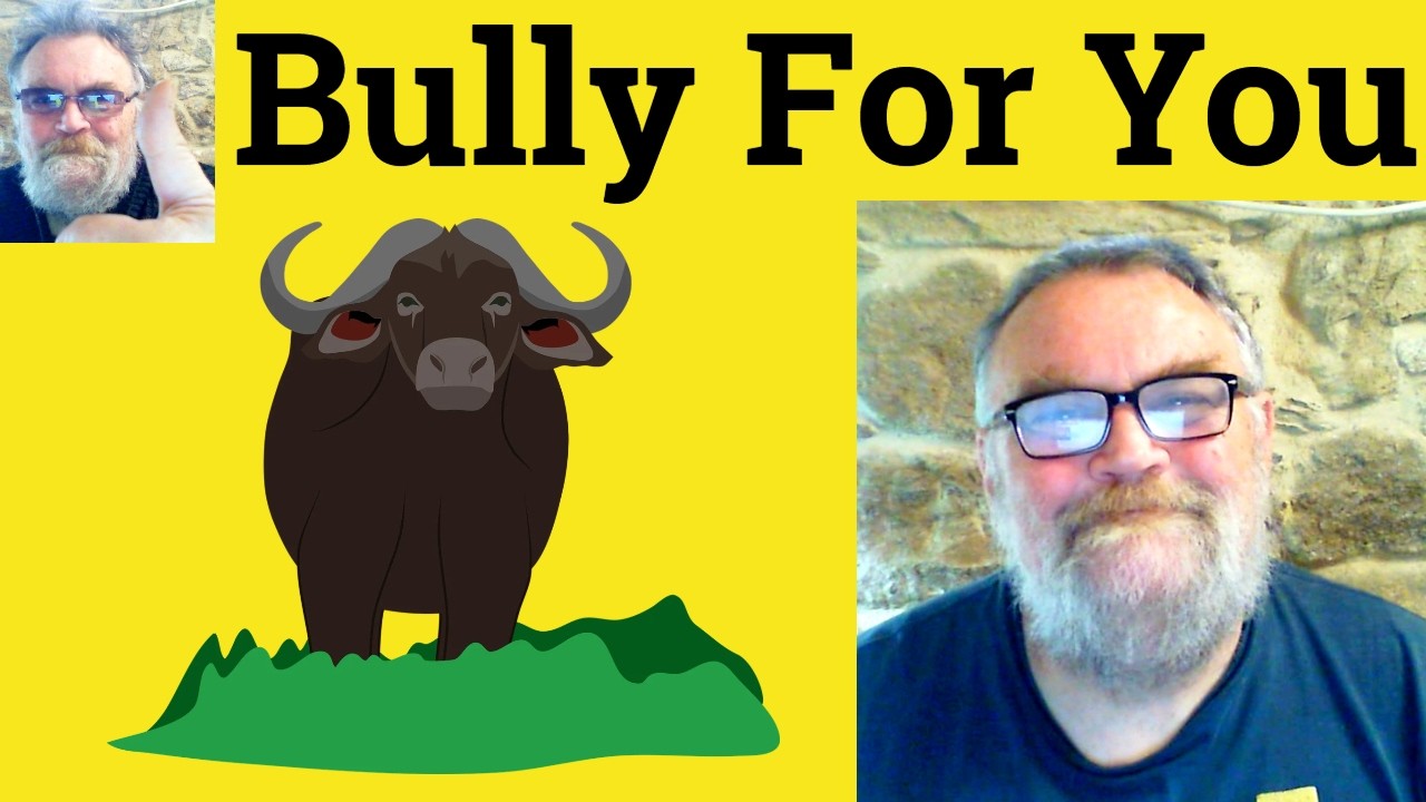 🔵 Bully For You ! - Idioms - ESL British English Pronunciation